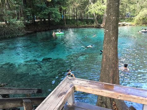 Ginnie Springs Camping